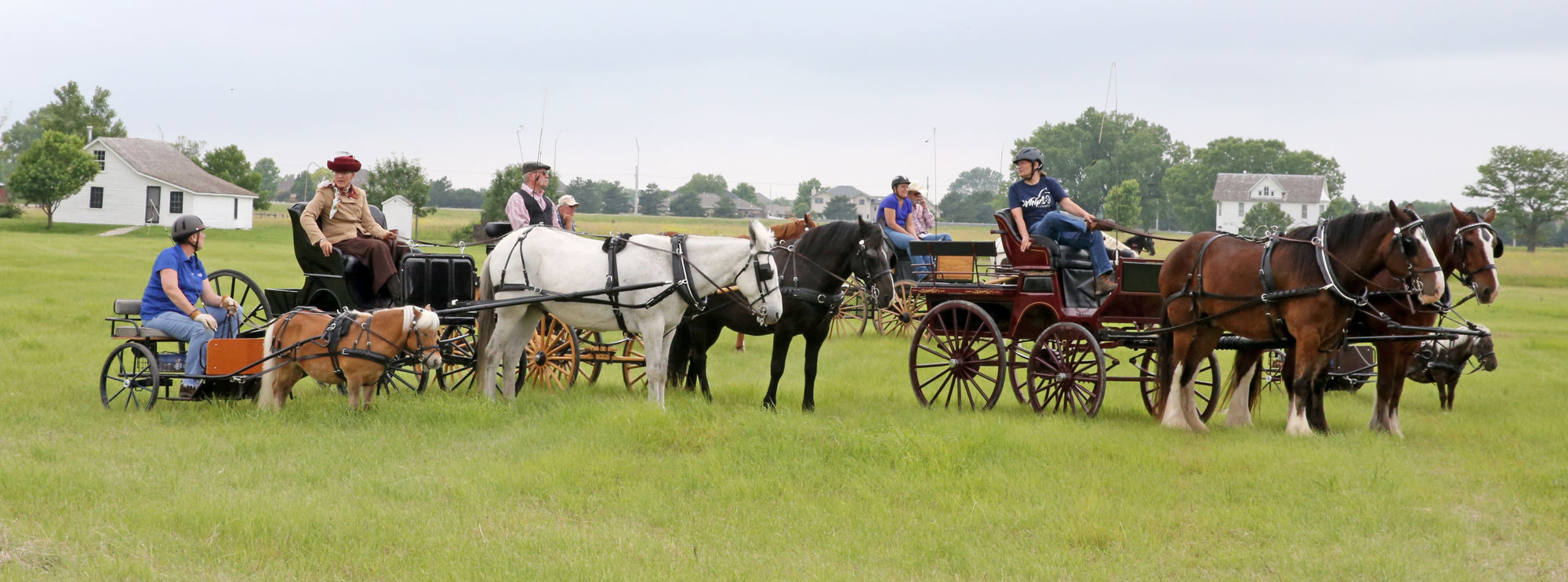 062219HorseandCarriage005_ak.JPG
